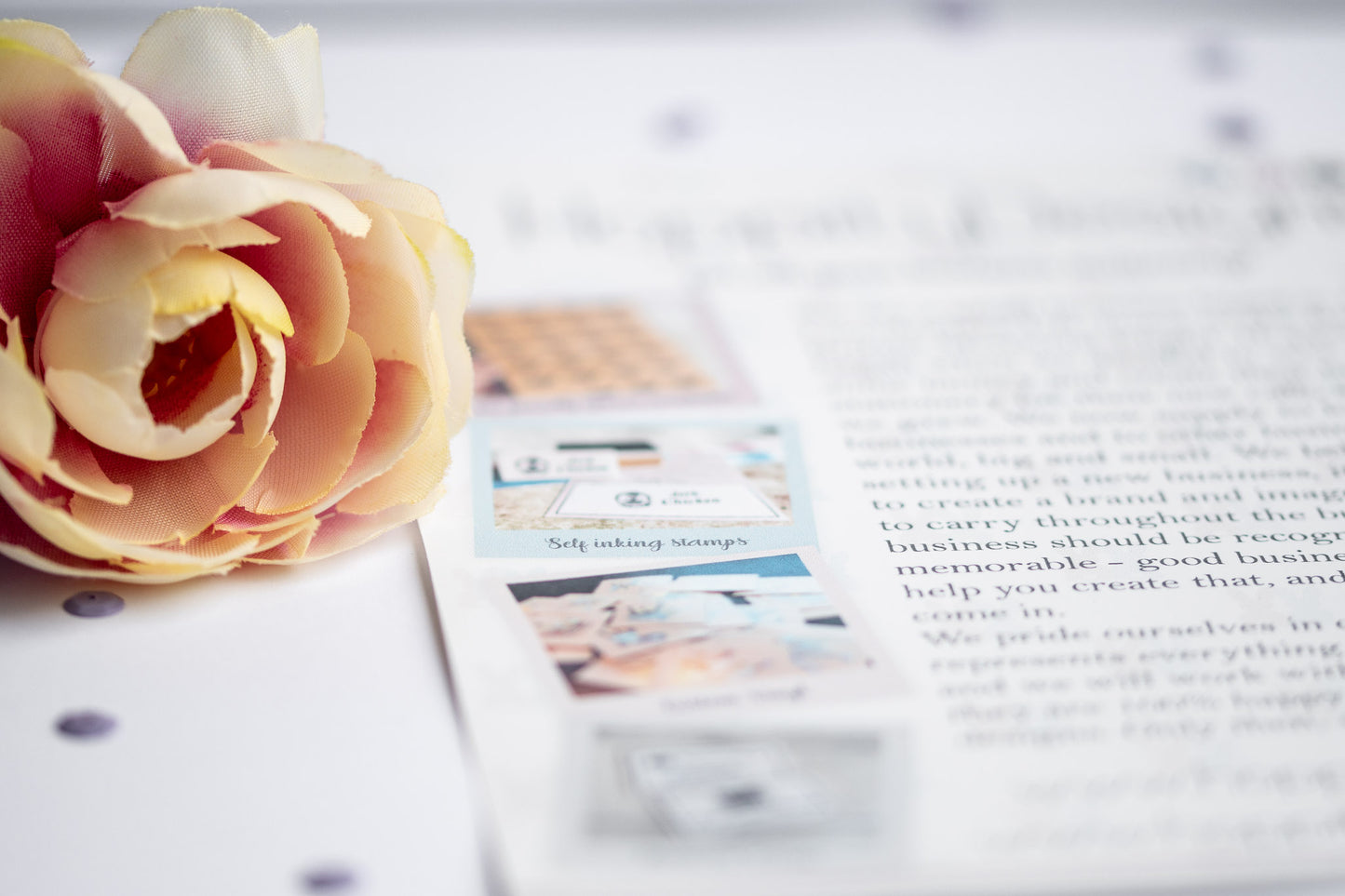 A6 Leaflets