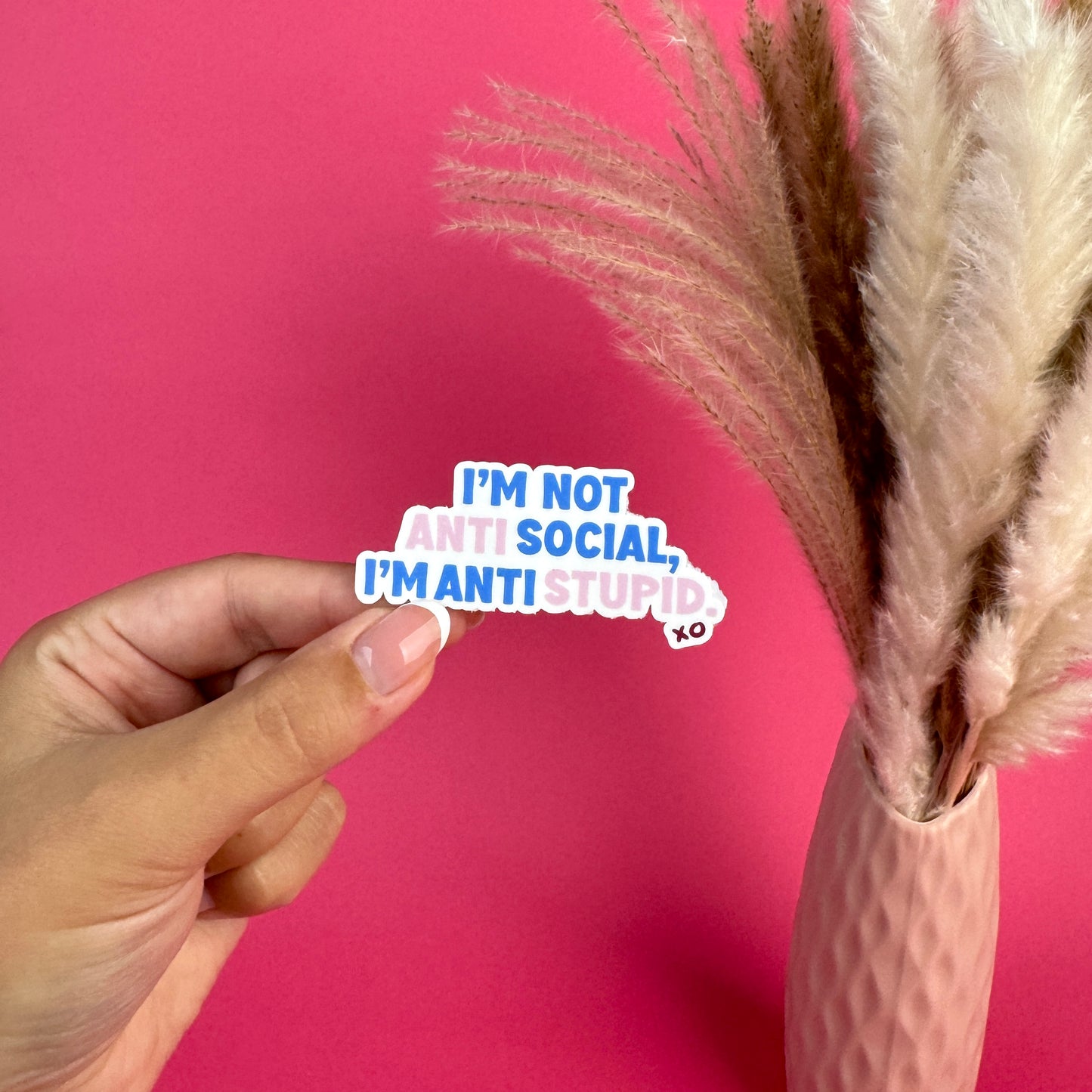 Anti Stupid Die Cut Sticker