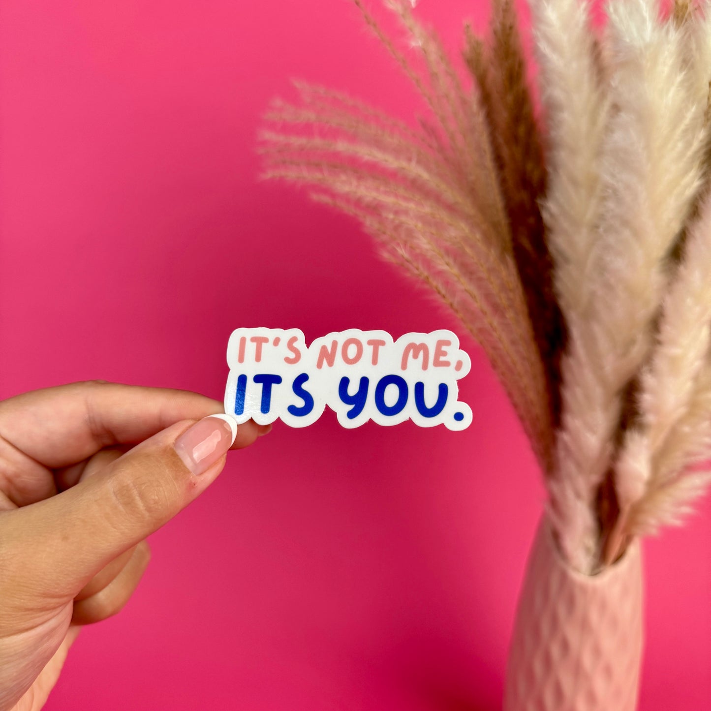 It's Not me, It's You Die Cut Sticker