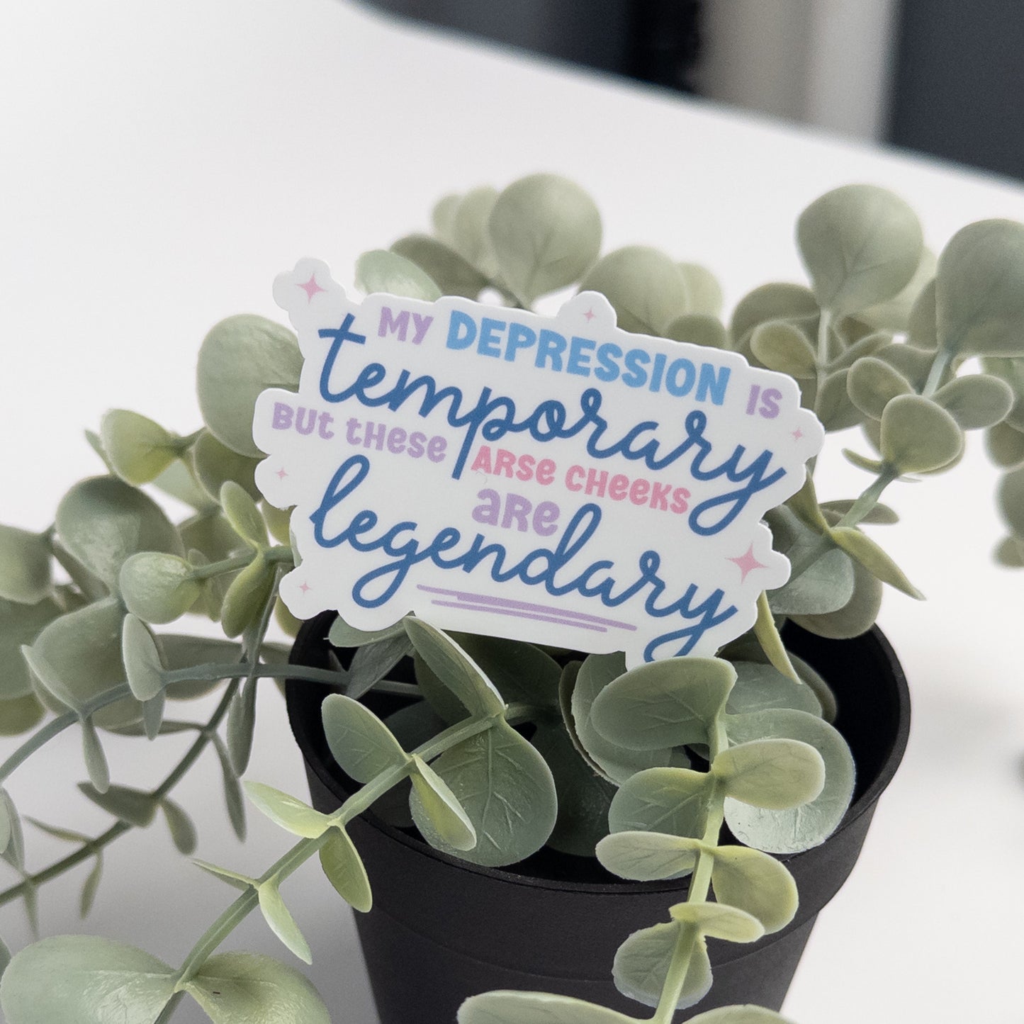 Funny Sweary Die Cut Sticker