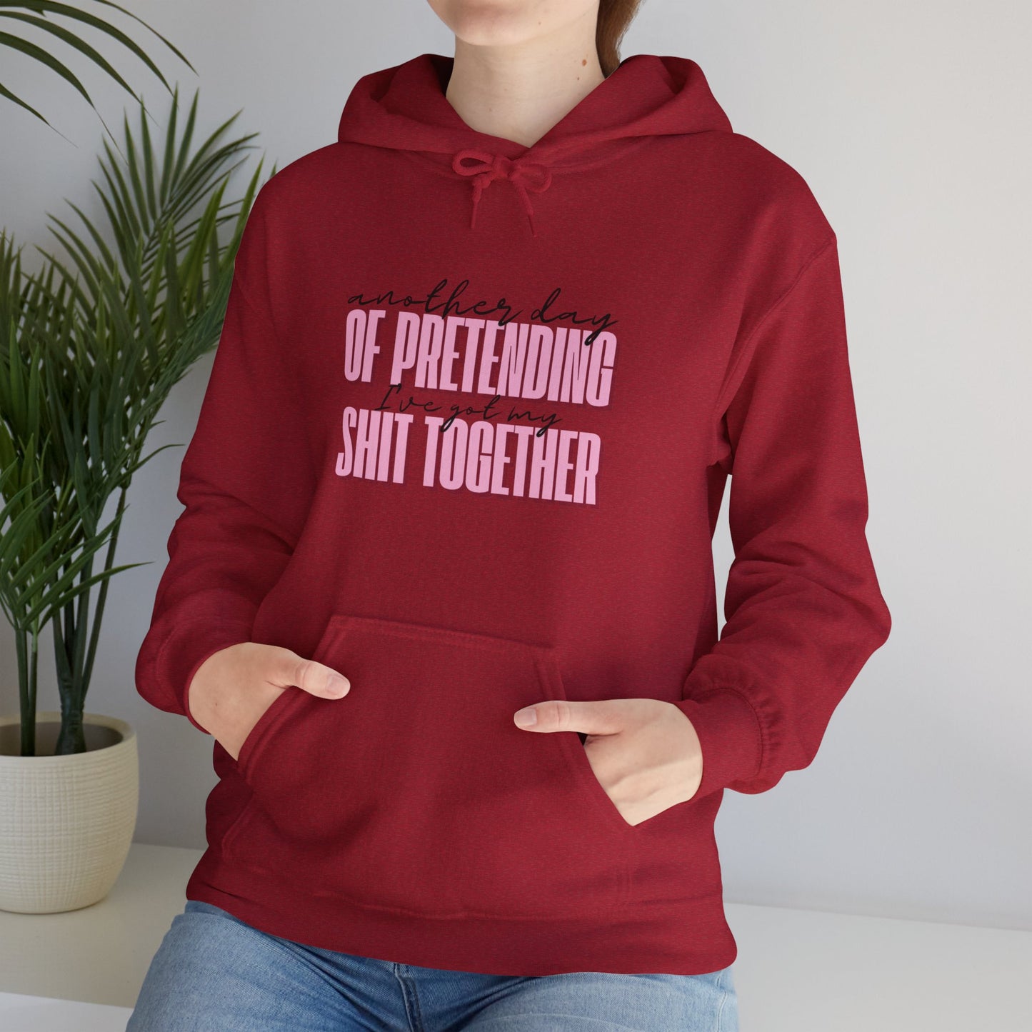 Another Day of Pretending I've Got My Shit Together Hoodie