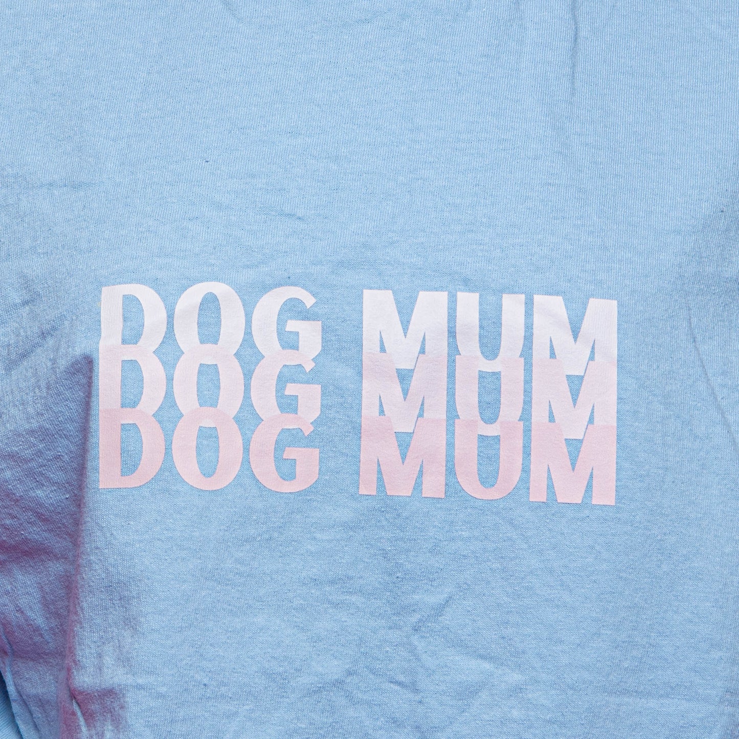 END OF LINE Dog Mum Light Blue T-shirt, Size Large
